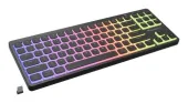 GAMING KEYBOARD GENESIS THOR 430 TKL WIR